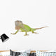 Iguana Iguana White Wall Decal