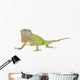 Iguana Iguana White Wall Decal