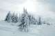 Winter Landscape 2 Wall Decal