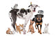 Group of Pets 2 Wall Decal