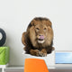 Lion Licking Lips Panthera Wall Decal