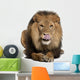Lion Licking Lips Panthera Wall Decal