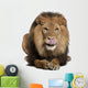 Lion Licking Lips Panthera Wall Decal