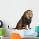 Sitting Lion - Right Side (Panthera Leo) Wall Decal