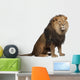 Sitting Lion - Right Side (Panthera Leo) Wall Decal