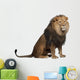 Sitting Lion - Right Side (Panthera Leo) Wall Decal