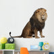 Sitting Lion - Right Side (Panthera Leo) Wall Decal