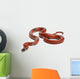 Sinaloan Milk Snake Lampropeltis Wall Decal
