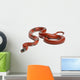 Sinaloan Milk Snake Lampropeltis Wall Decal