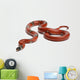 Sinaloan Milk Snake Lampropeltis Wall Decal