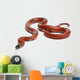 Sinaloan Milk Snake Lampropeltis Wall Decal