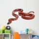 Sinaloan Milk Snake Lampropeltis Wall Decal