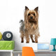 Yorkshire Terrier 3 Years Wall Decal