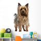 Yorkshire Terrier 3 Years Wall Decal