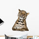 Leopard Lying Front White Wall Decal