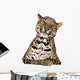 Leopard Lying Front White Wall Decal