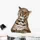 Leopard Lying Front White Wall Decal