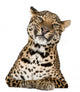 Leopard Lying Front White Wall Decal