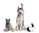 Group of Pets 1 Wall Decal