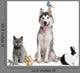 Group of Pets 1 Wall Decal