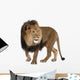 Walking Lion (Panthera Leo) Wall Decal
