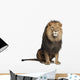 Sitting Lion - Front Side (Panthera Leo) Wall Decal