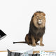 Sitting Lion - Front Side (Panthera Leo) Wall Decal