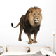 Standing Lion (Panthera Leo) Wall Decal
