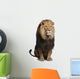 Lion Front (Panthera Leo) Wall Decal