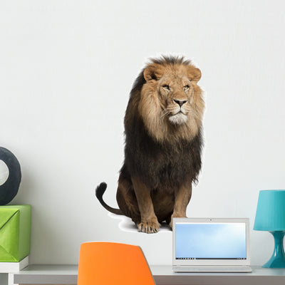 Lion Front (Panthera Leo) Wall Decal shown on a wall