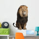 Lion Front (Panthera Leo) Wall Decal