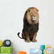 Lion Front (Panthera Leo) Wall Decal