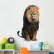 Lion Front (Panthera Leo) Wall Decal
