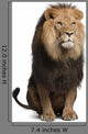 Lion Front (Panthera Leo) Wall Decal
