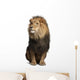 Lion (Panthera Leo) Wall Decal