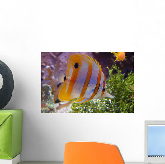 Exostisme Wall Decal