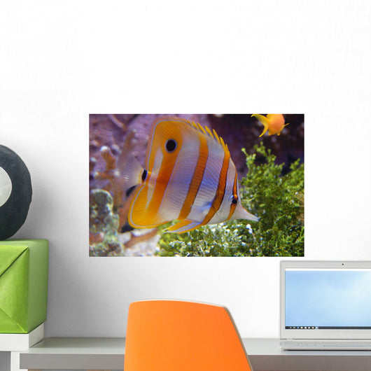 Exostisme Wall Decal