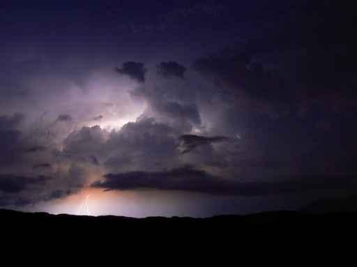 Orage Wall Decal