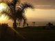 Sunset1 Wall Decal