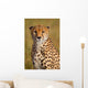 Cheetah Cheetah Wall Decal