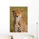 Cheetah Cheetah Wall Decal