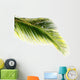 Bewitching Wall Decal