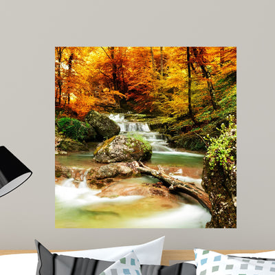 Autumn Creek Woods with Wall Decal shown on a wall