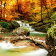 Autumn Creek Woods with Wall Decal