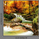 Autumn Creek Woods with Wall Decal