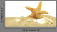 Sea Star and Sand Bank Wall Decal