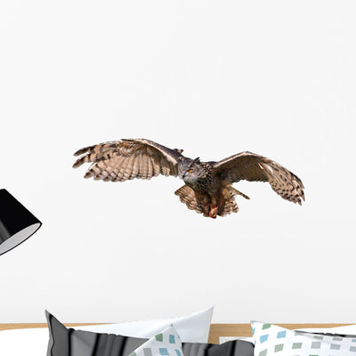 Flying Owl Wall Decal shown on a wall