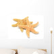 Sea-star Wall Decal