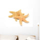 Sea-star Wall Decal