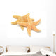 Sea-star Wall Decal